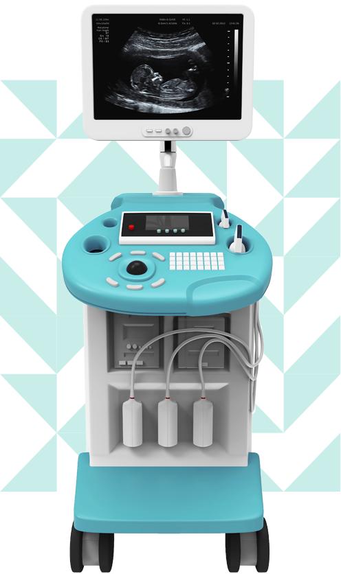 inner_image_home_04-01 https://drismailtemur.com/wp-content/uploads/2021/10/inner_image_home_04-01.png